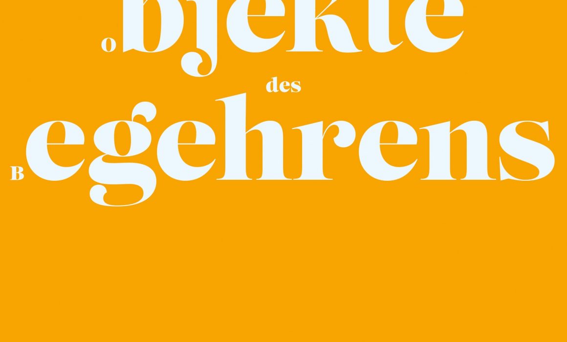 Orange-farbenes Cover mit der Aufschrift Objekte des Begehrens, Clare Sestanovich, Erzählungen